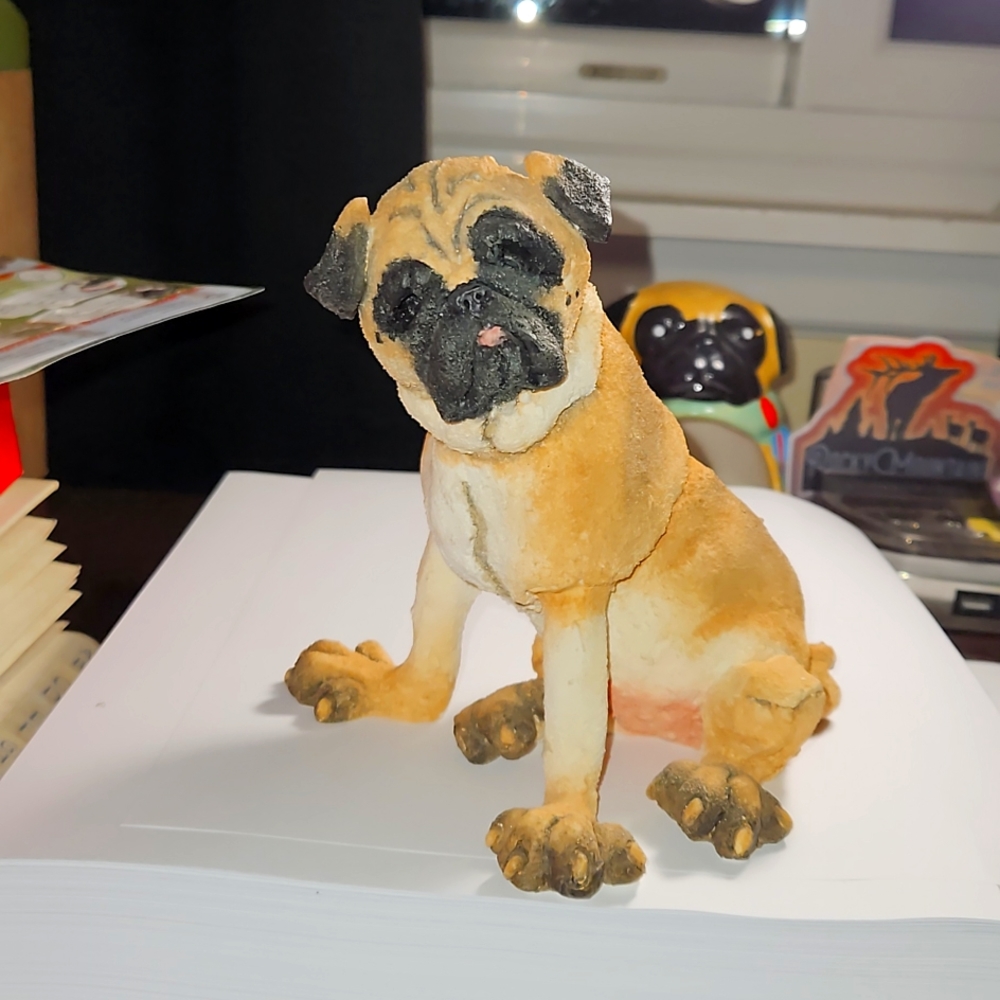 Collectors pug